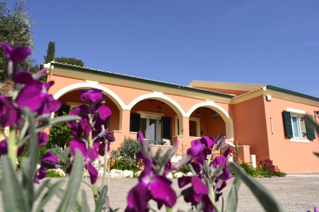 Villa Skafonas Sinarádes Екстериор снимка